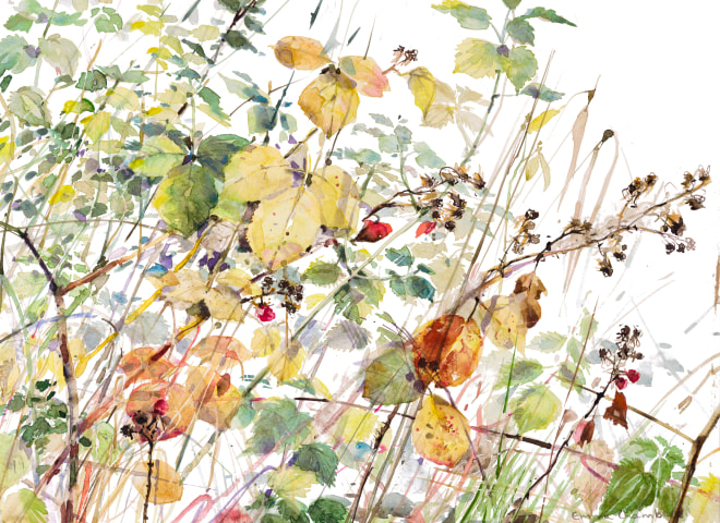 Emma Chambers, Winter Brambles and Nettles