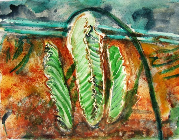 Agathe Sorel, Cactus and Hosepipe