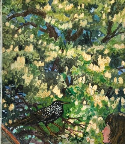 June Berry, The Starling