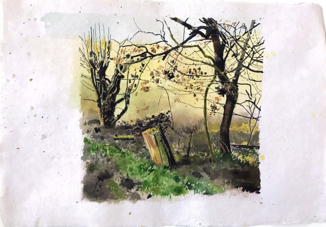Iain Nicholls, Elsecar Cropped Trees Study 4