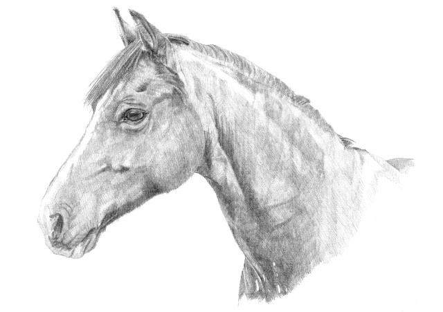 Drawings, 2008 - 2017