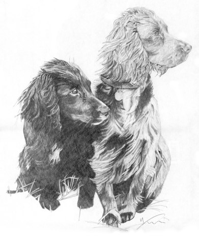 Drawings, 2008 - 2017