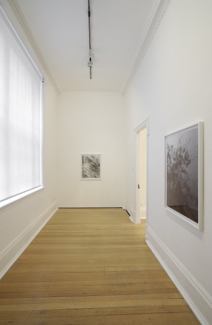 <p>Installation view, Thomas Dane Gallery</p>