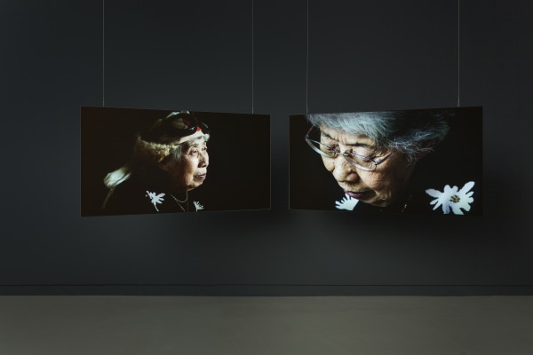 <p>Double Projection</p>