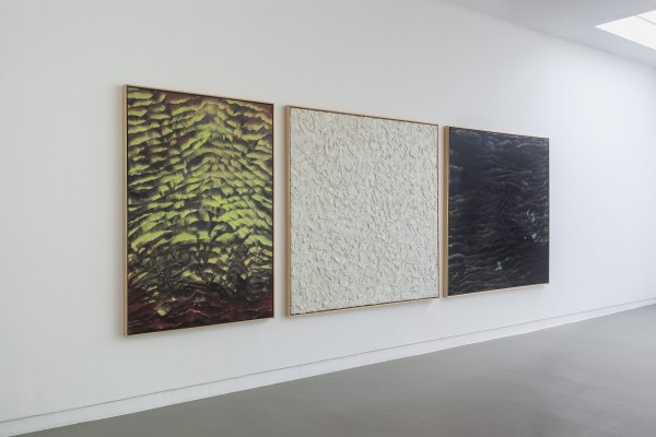 <p>Photo: Michel Claus</p>