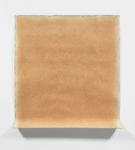 Michelle Stuart Sayreville Quarry, 1976 Rock marks, Sayreville earth on muslin-mounted rag paper 177.8 x 157.5 cm, 70 x 62 ins