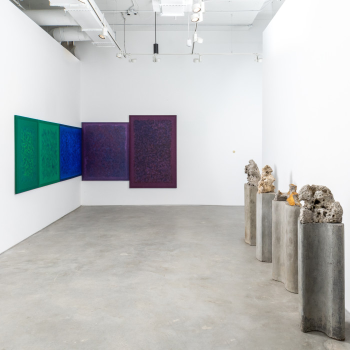 Amelia Toledo Nara Roesler