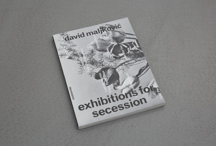 David Maljkovic, Exhibitions for Secession