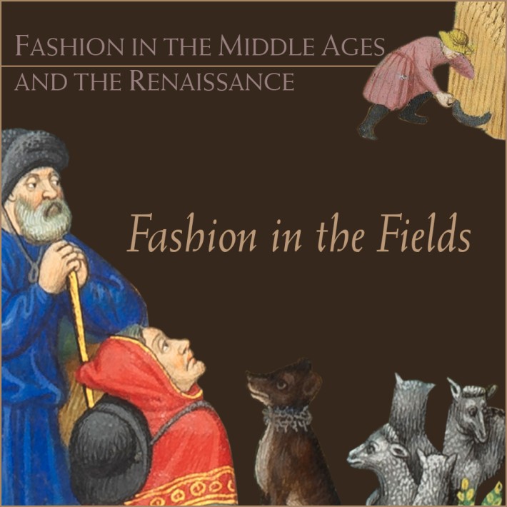Fashion in the Middle Ages and the Renaissance: Fashion in the Fields