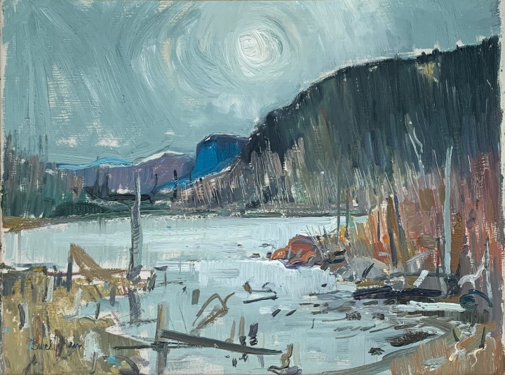 Bruce LeDain, Laurentian Swamp