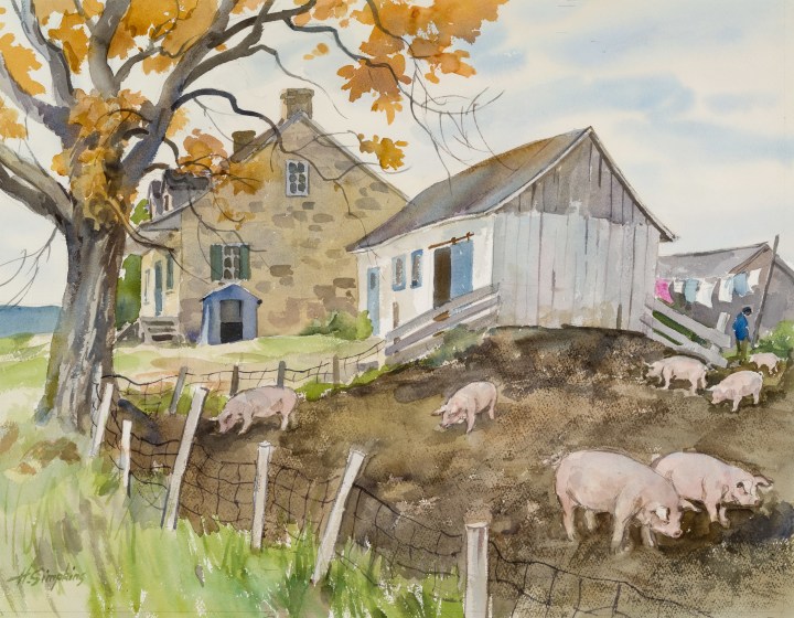 Henry J. Simpkins Pigs on the Farm - Élevage de cochons Watercolour - Aquarelle 19 5/8 x 25 1/4 in 49.7 x 64.1 cm