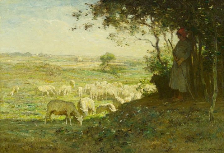 Horatio Walker, Landscape with Sheep