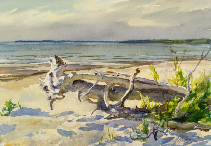Henry J. Simpkins Driftwood on Beach - Bois flotté sur la plage Watercolour - Aquarelle 14 x 20 1/4 in 35.7 x 51.6 cm