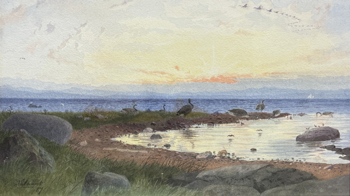 Duncan Edmund Grant Canada Geese, 1887 Watercolour 10 1/4 x 17 1/2 in 26 x 44.5 cm