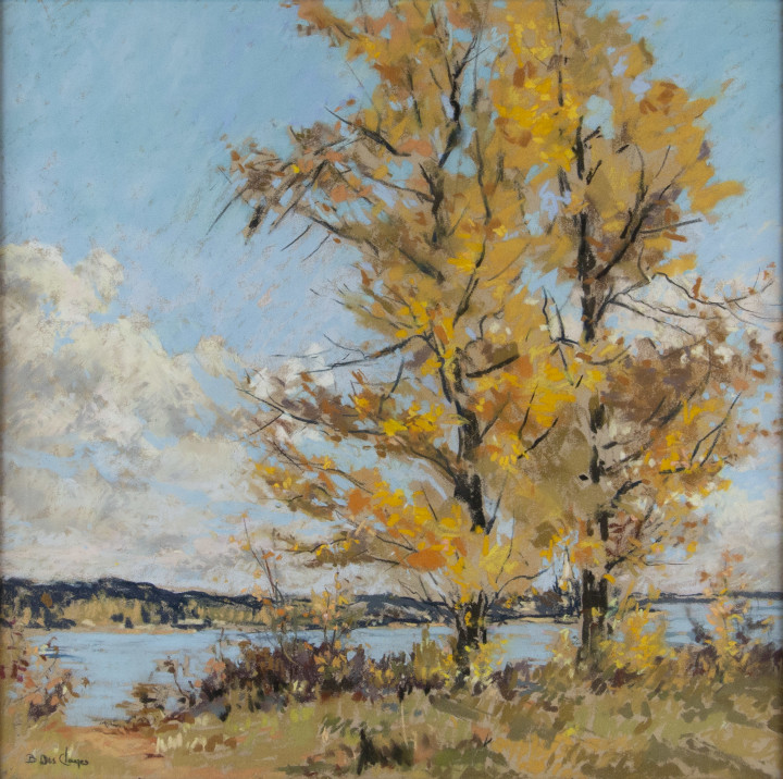 Berthe Des Clayes Autumn, Eastern Townships Pastel 13 x 13 in 33 x 33 cm