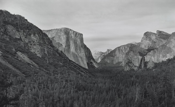Artwork Spotlight: Yosemite IV (BGV) by Richard Learoyd, 2018
