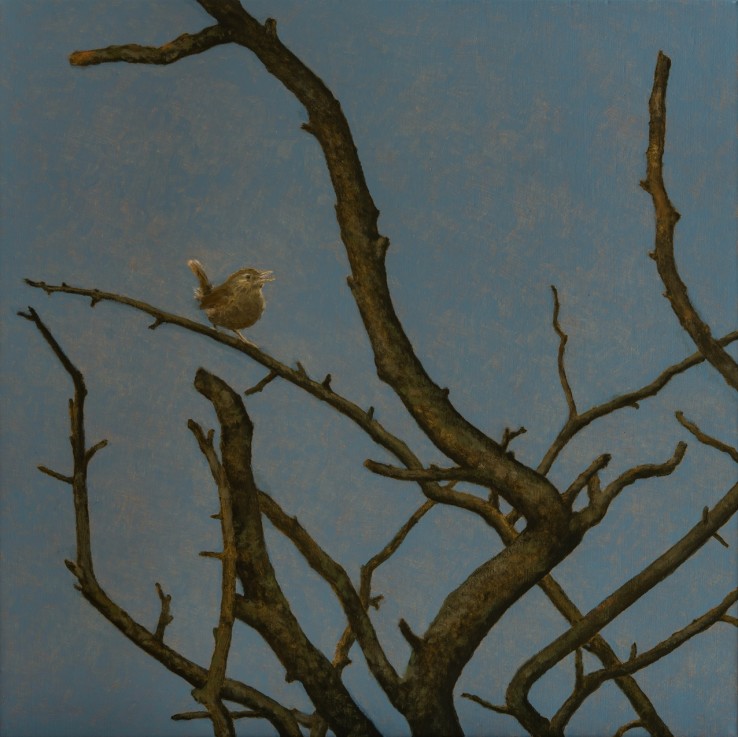 Wren and Tree, 2019  Oil on canvas  51 x 51 cm