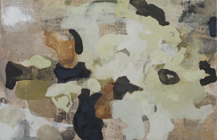 Borrowed Lichen, 2019  Oil on canvas  20 x 30.5 cm