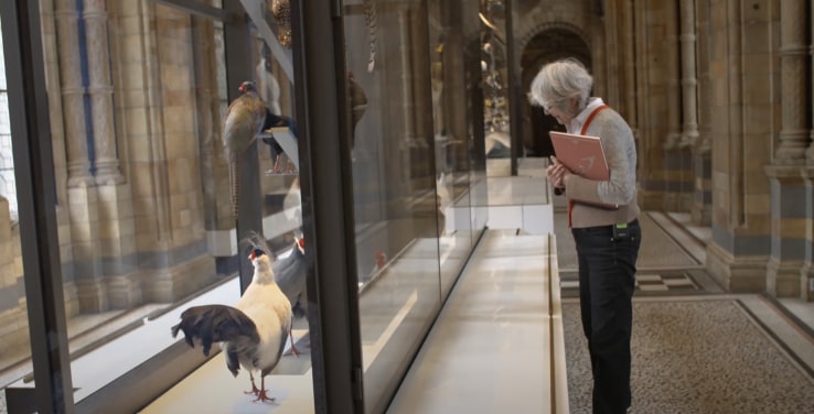 Elizabeth Butterworth at the Natural History Museum