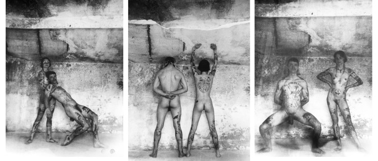 Aviya Wyse, Untitled, 2019