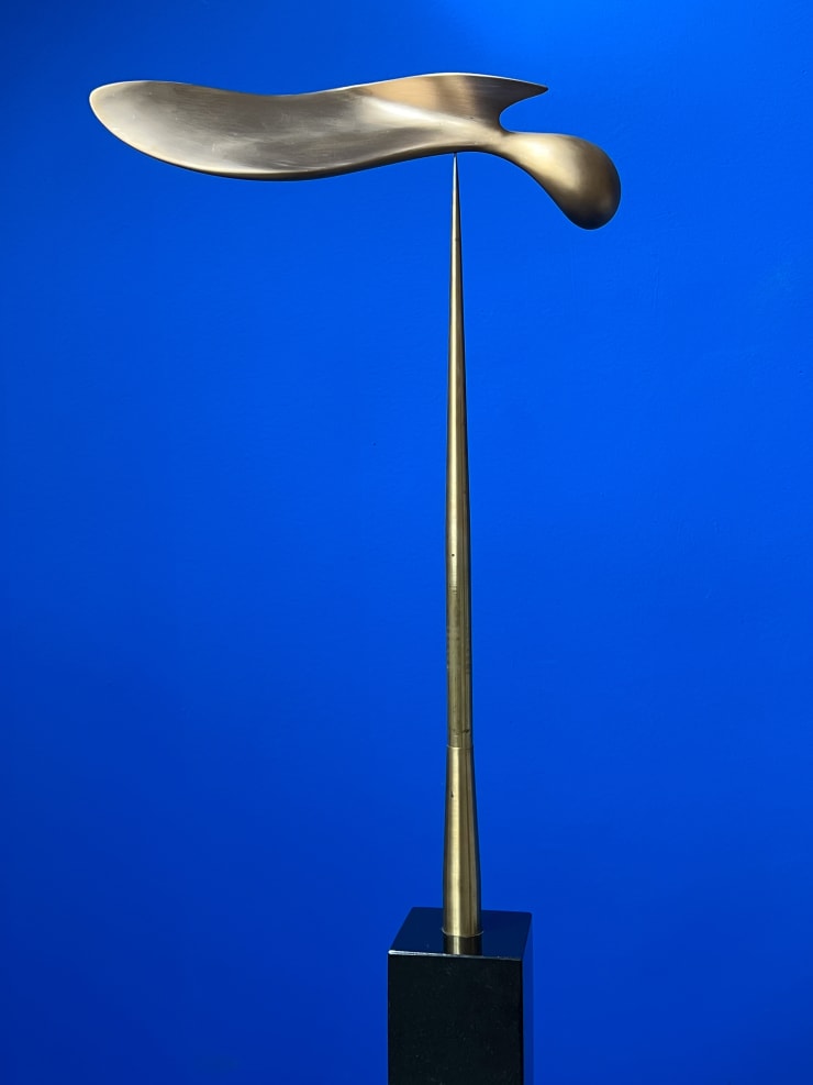 Jörg Wiele, Federknochenflosse, 2024