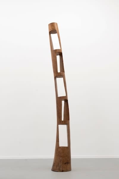 Jean-Servais Somian, Demoiselle 254, 2014