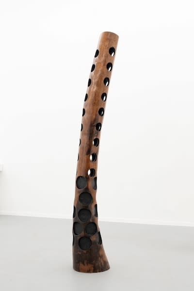 Jean-Servais Somian, Demoiselle 186, demi-ronds, 2015