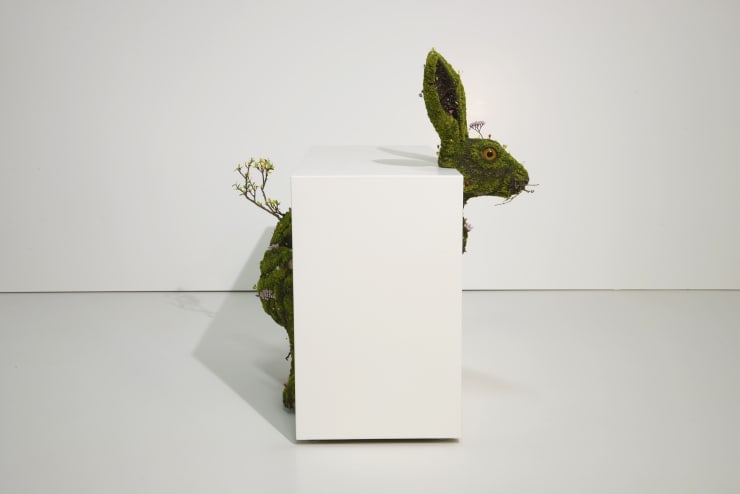 Emeric CHANTIER, Lepus Europaeus, 2017