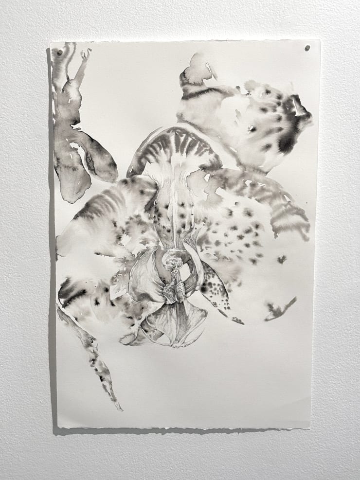 Florian Sông Nguyen, Ceux qui èrrent, ce qui fait racine 4, 2025