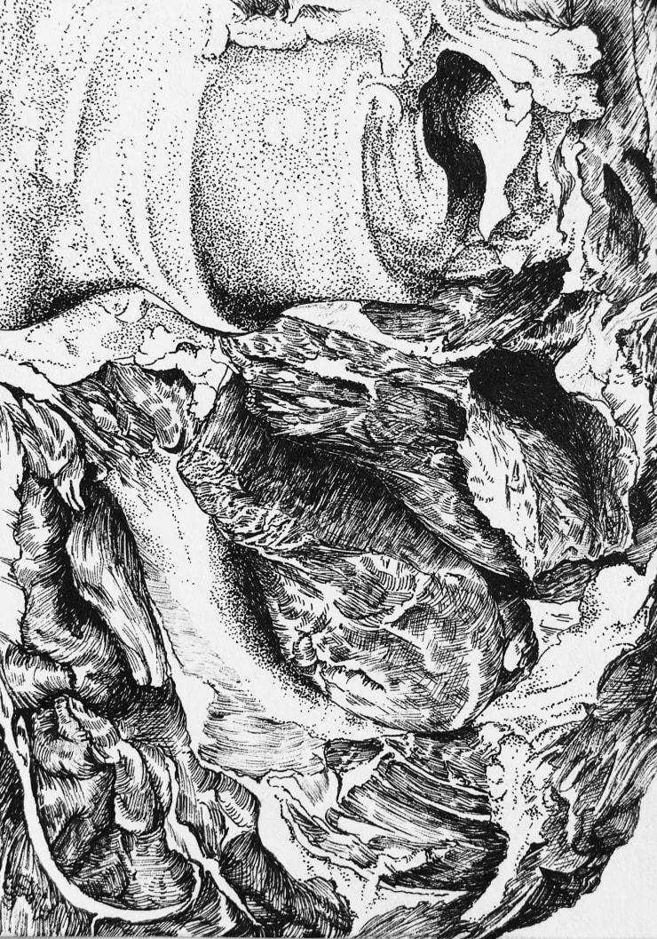 Florian Sông Nguyen, Parcelles n1, 2023