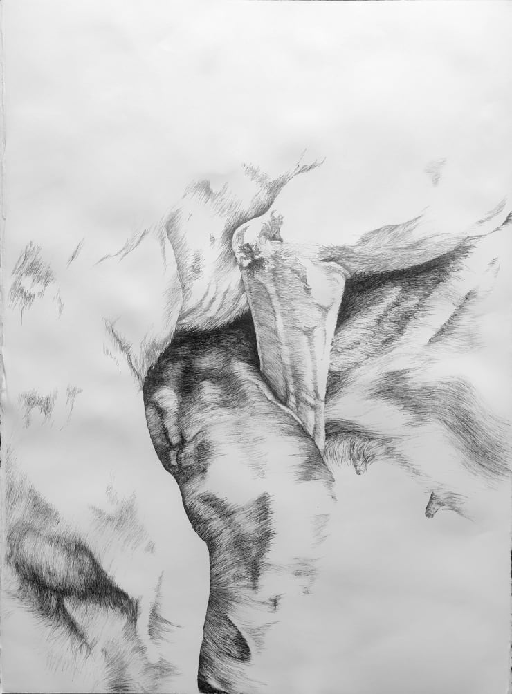 Florian Sông Nguyen, Les chiens errants n1, 2022