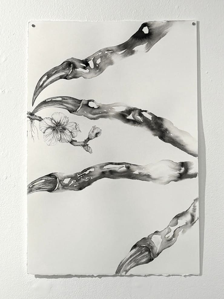 Florian Sông Nguyen, Ceux qui èrrent, ce qui fait racine 3, 2025