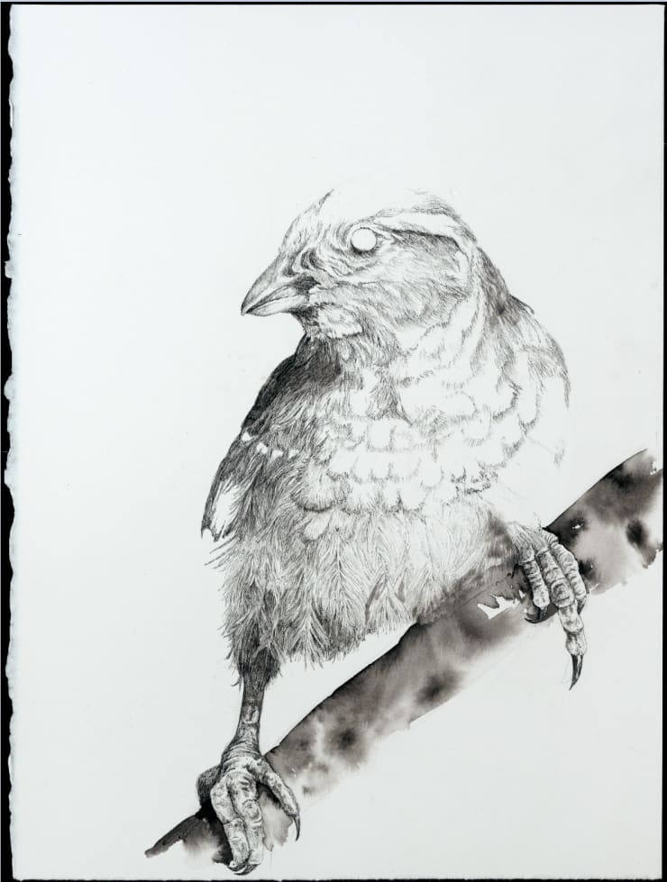 Florian Sông Nguyen, Ceux qui èrrent, ce qui fait racine 1, 2025