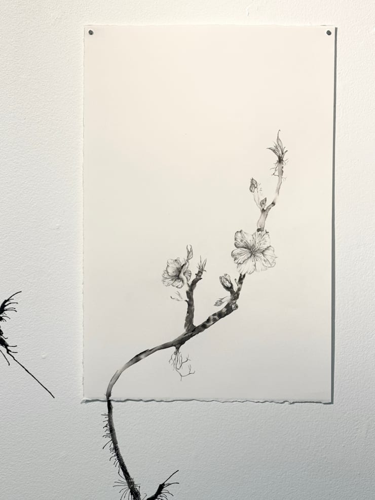 Florian Sông Nguyen, Ceux qui èrrent, ce qui fait racine 2, 2025