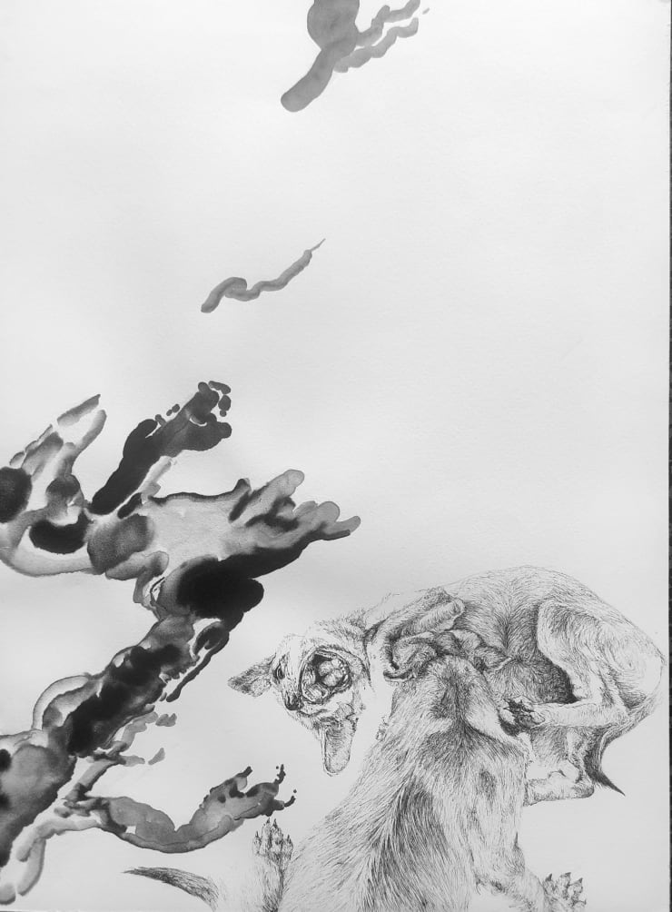 Florian Sông Nguyen, Les chiens errants n6, 2022