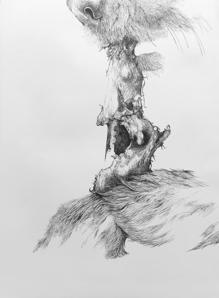 Florian Sông Nguyen, Les chiens errants n10, 2022