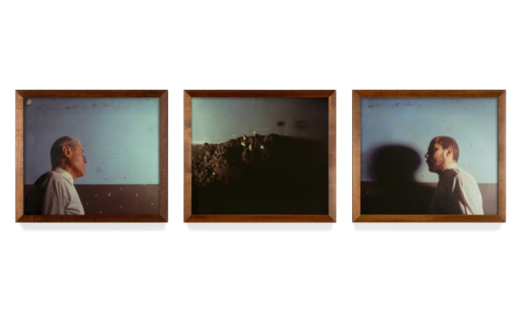 Germinazione segreta (3 el.)