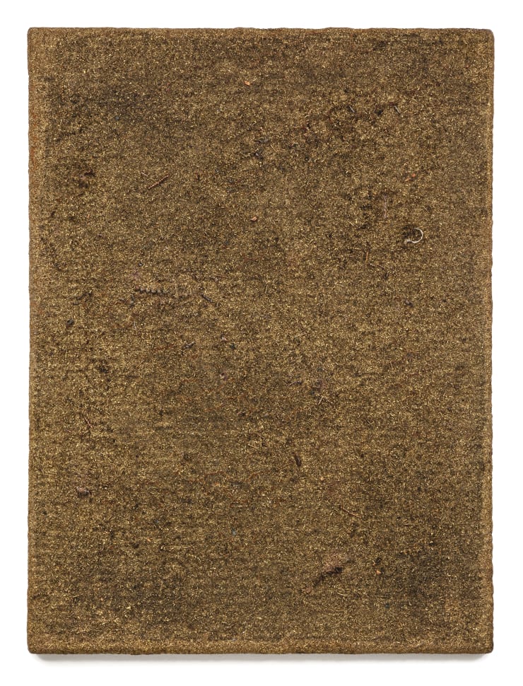 Swarm (Invenire melius mundi)