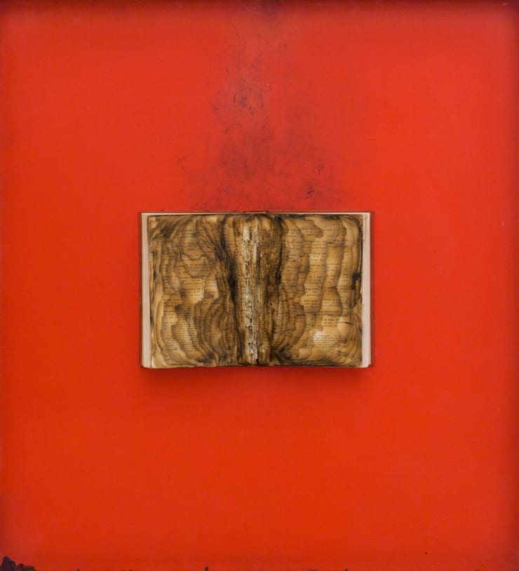 Bernard Aubertin, Livre brulé, 1974