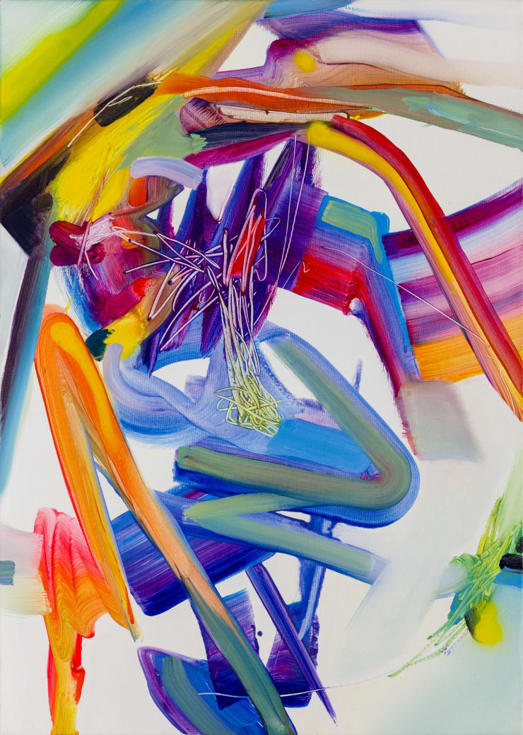 Isabella Nazzarri, Movimento 5, 2017