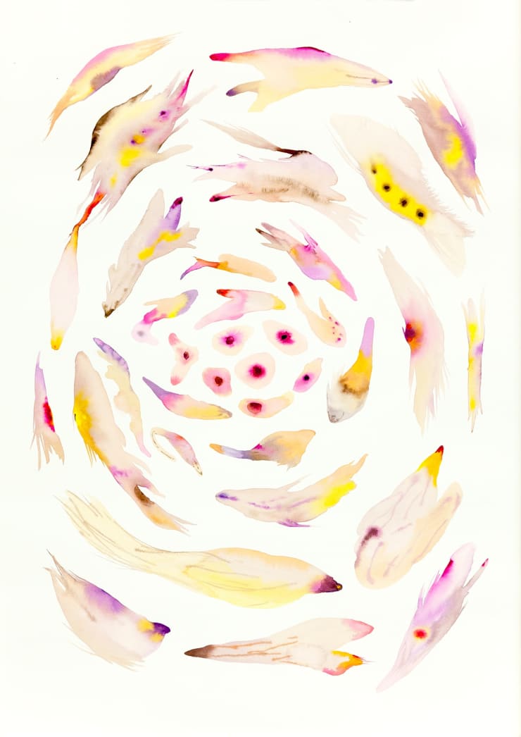 Isabella Nazzarri, Sistema Innaturale (Genesi), 2016