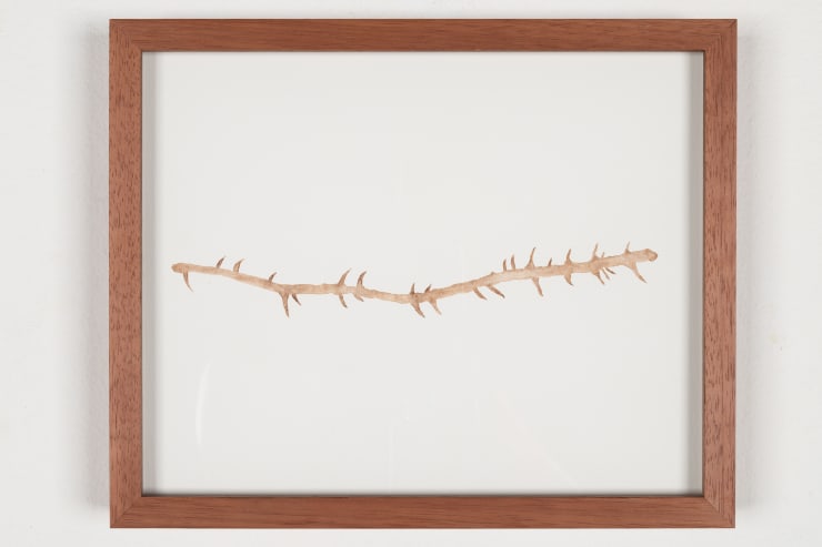 Sallisa Rosa, Sem título [Untitled], 2023