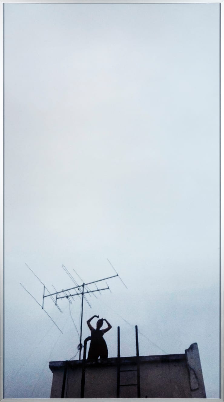 Aleta Valente, Pararraia, 2015