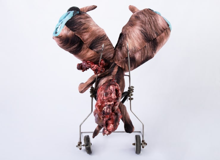 ABRE ALAS #17, ANNA, Explosão Cadelinha, 2019