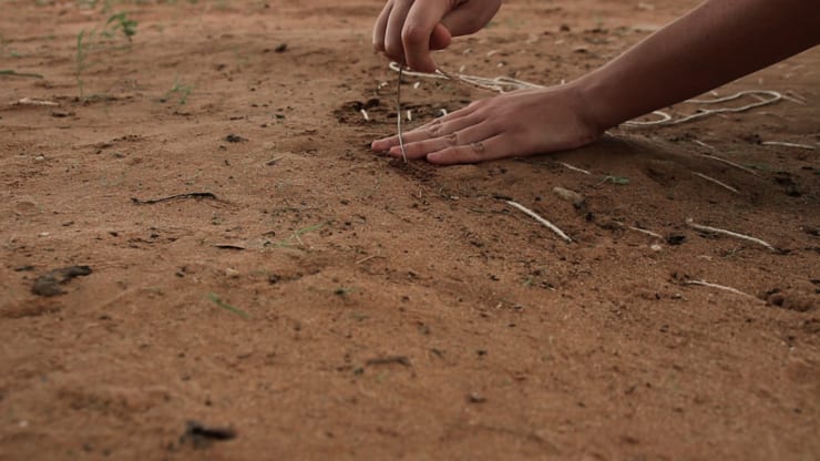 Maria Laet, Terra (Canudos) [Earth (Canudos)], 2015