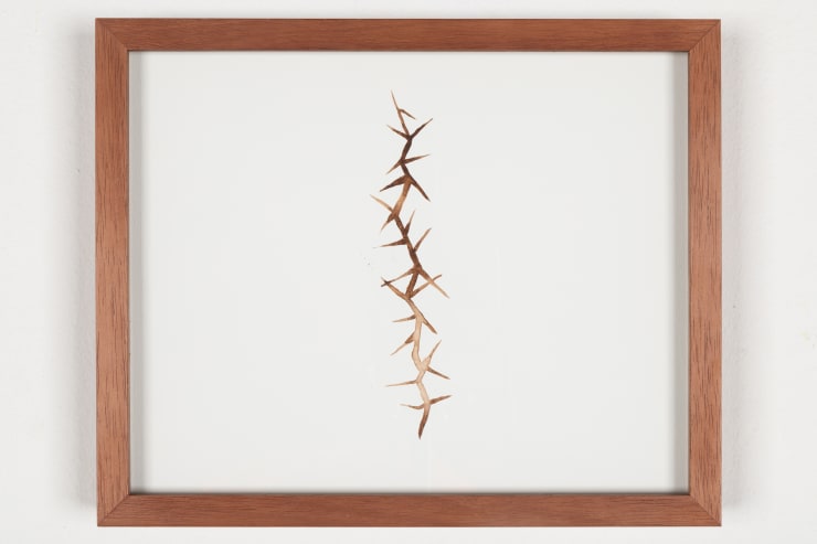 Sallisa Rosa, Sem título [Untitled], 2023