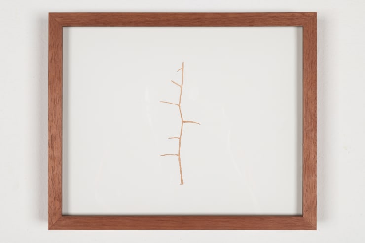 Sallisa Rosa, Sem título [Untitled], 2023