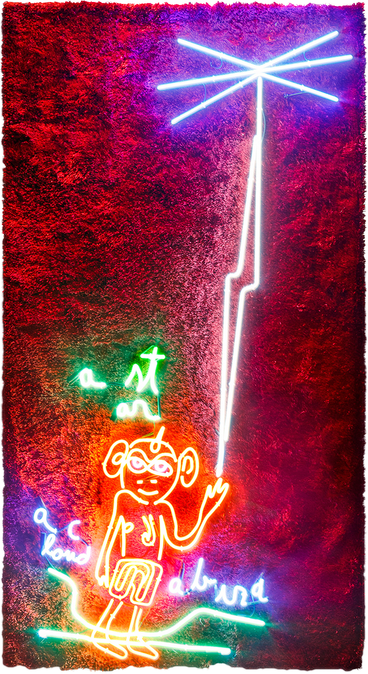 Cabelo, sem título [untitled], 2012