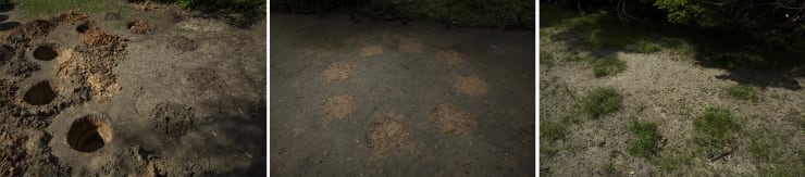 Maria Laet, Imersão [immersion], 2019/2020