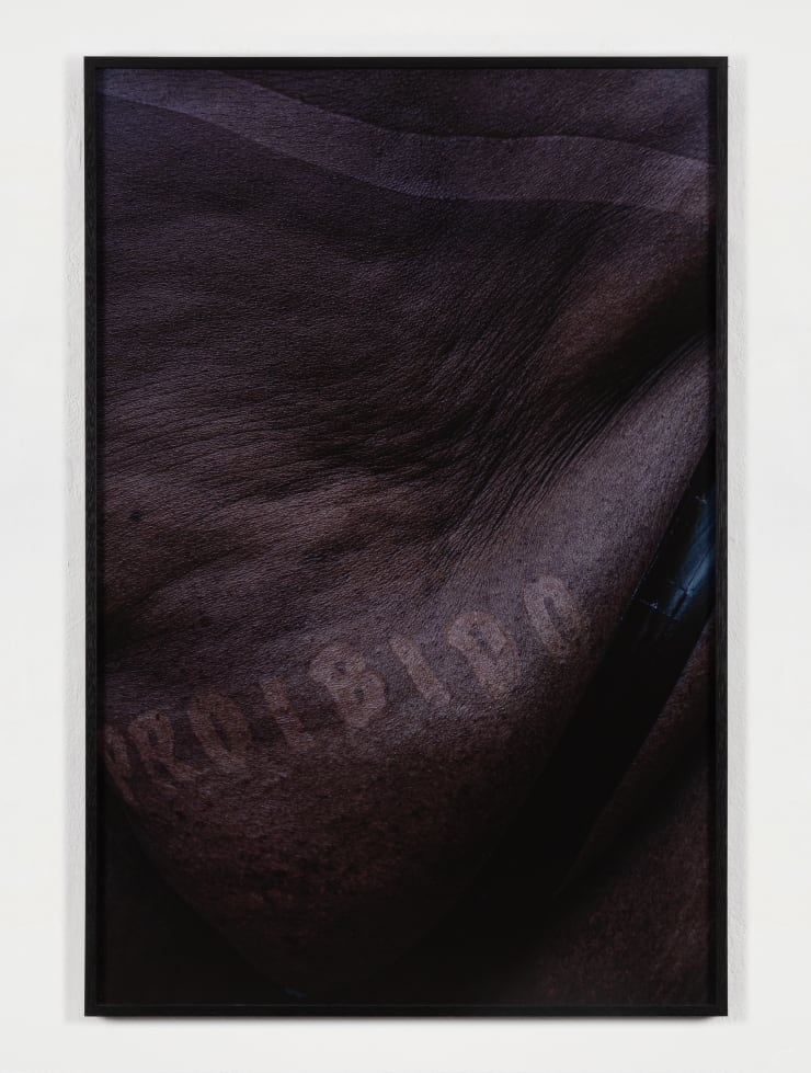 Agrade Camíz, Após a Curva Vire à Esquerda, 2023